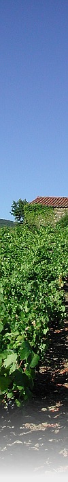 Crus des vins